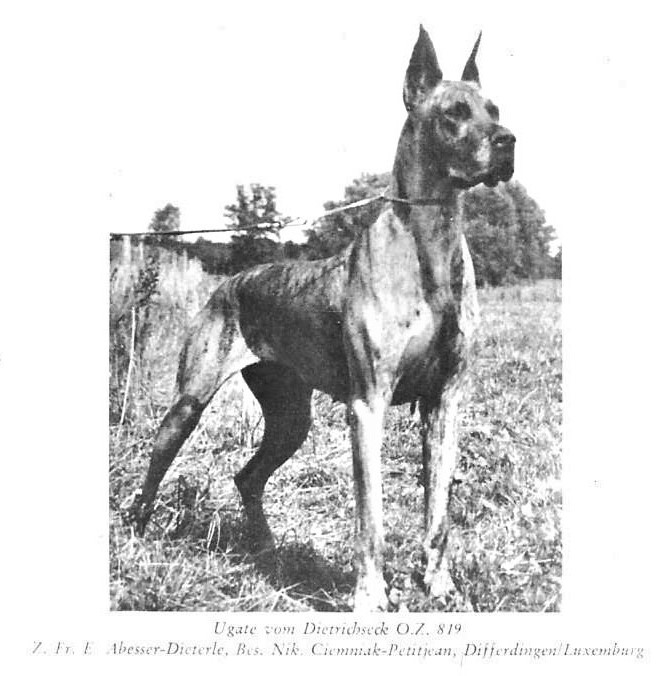 Ugate vom Dietrichsech